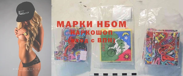 гашик Карталы