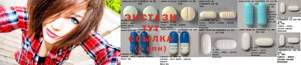 гашик Карталы