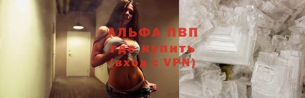 ПСИЛОЦИБИНОВЫЕ ГРИБЫ Карпинск