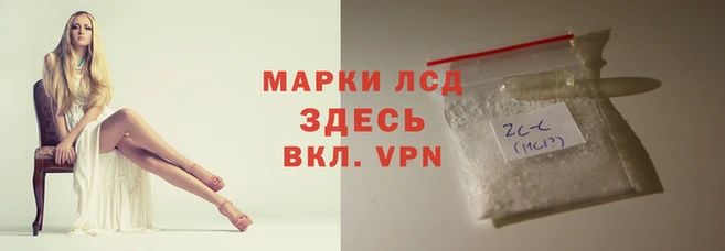 гашик Карталы