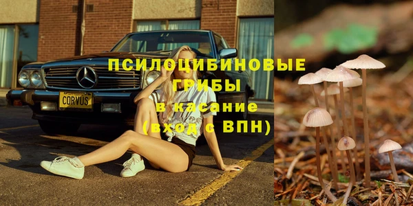 ПСИЛОЦИБИНОВЫЕ ГРИБЫ Карпинск