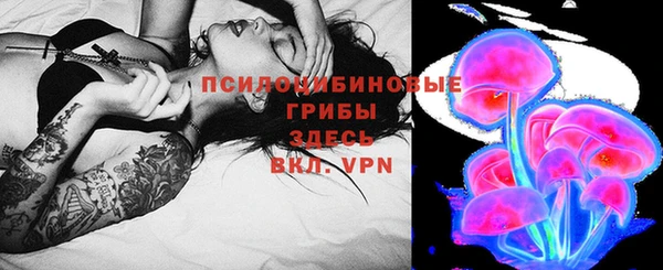 ПСИЛОЦИБИНОВЫЕ ГРИБЫ Карпинск